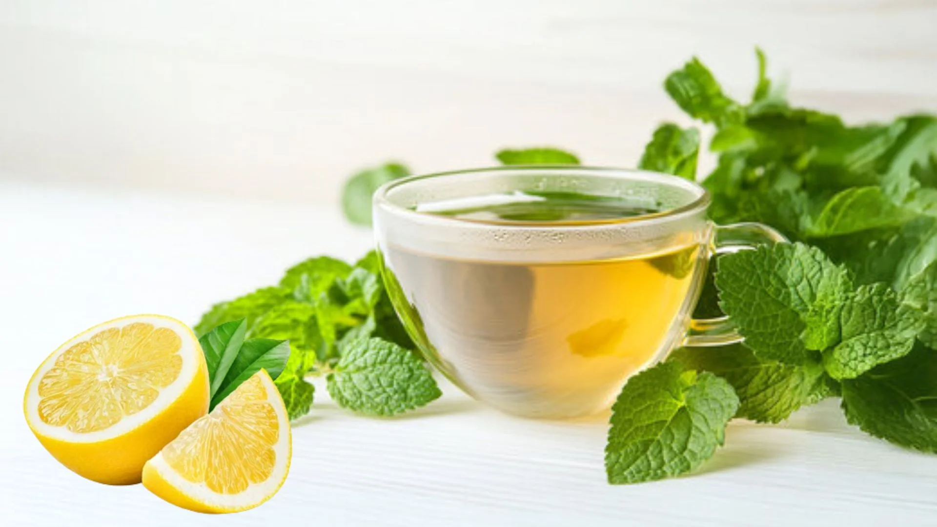 Lemon Balm Tea Recipe
